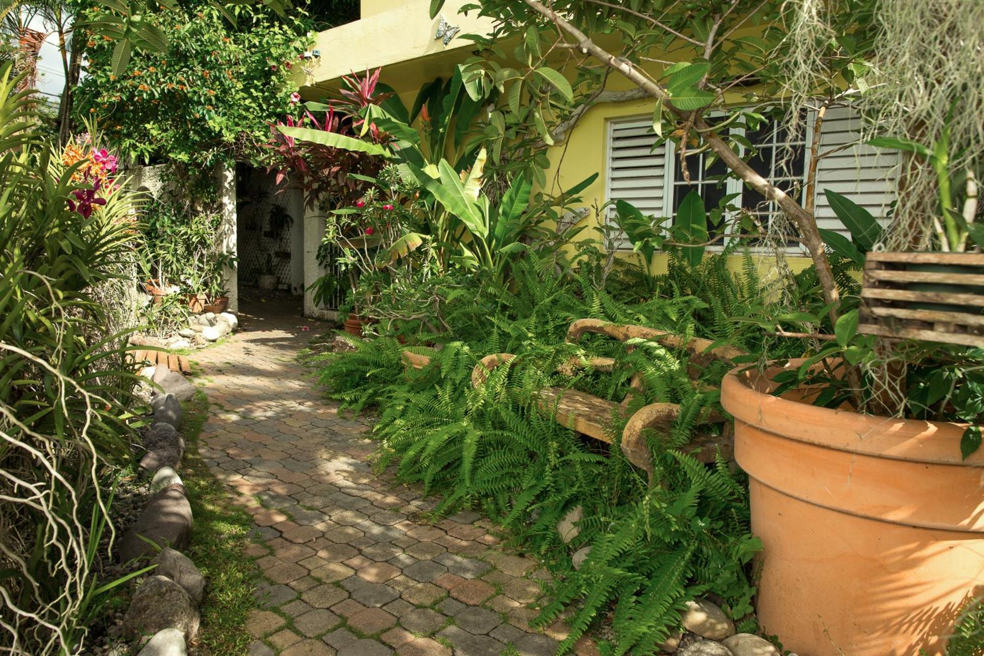 Orchid Cottage Kingston Habitación foto