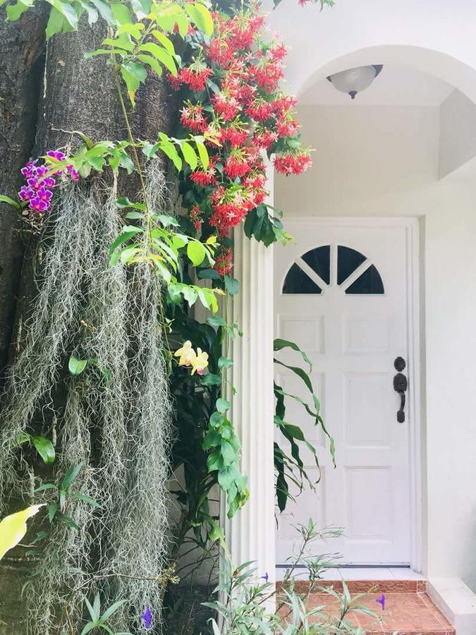 Orchid Cottage Kingston Exterior foto