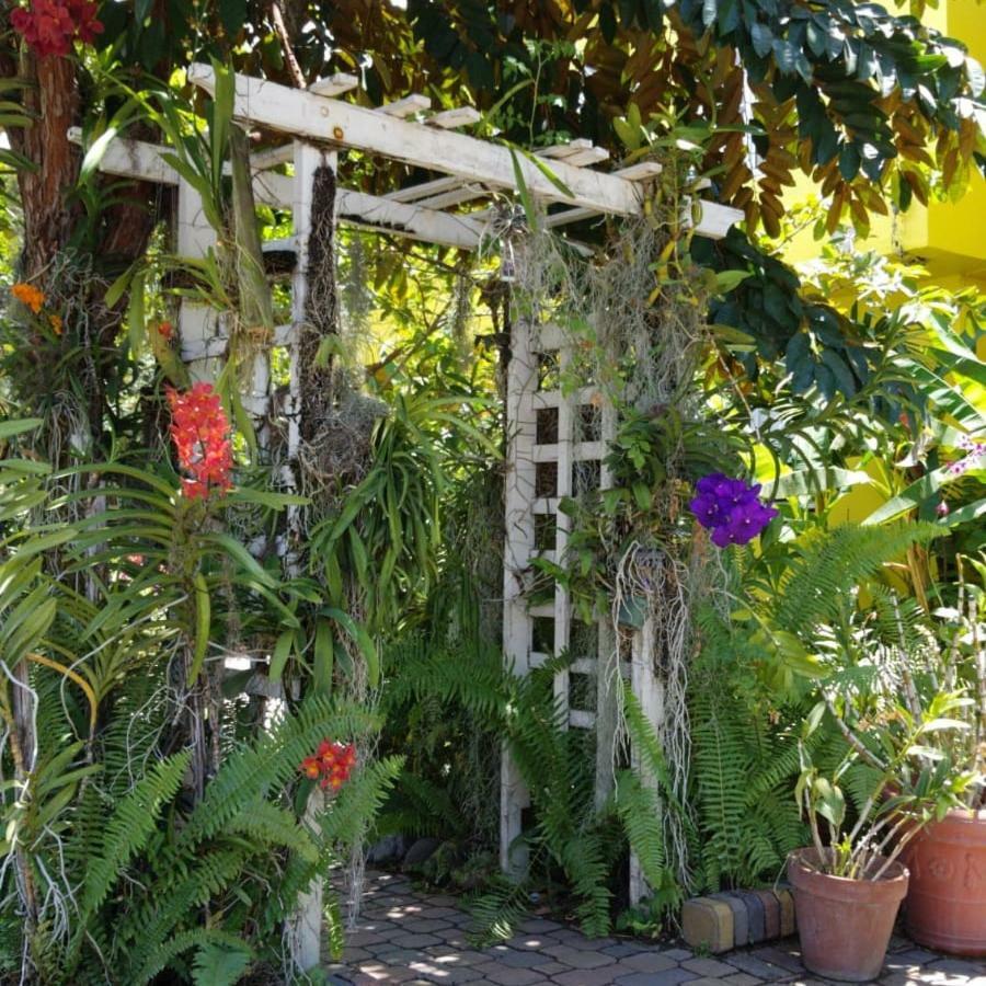 Orchid Cottage Kingston Exterior foto